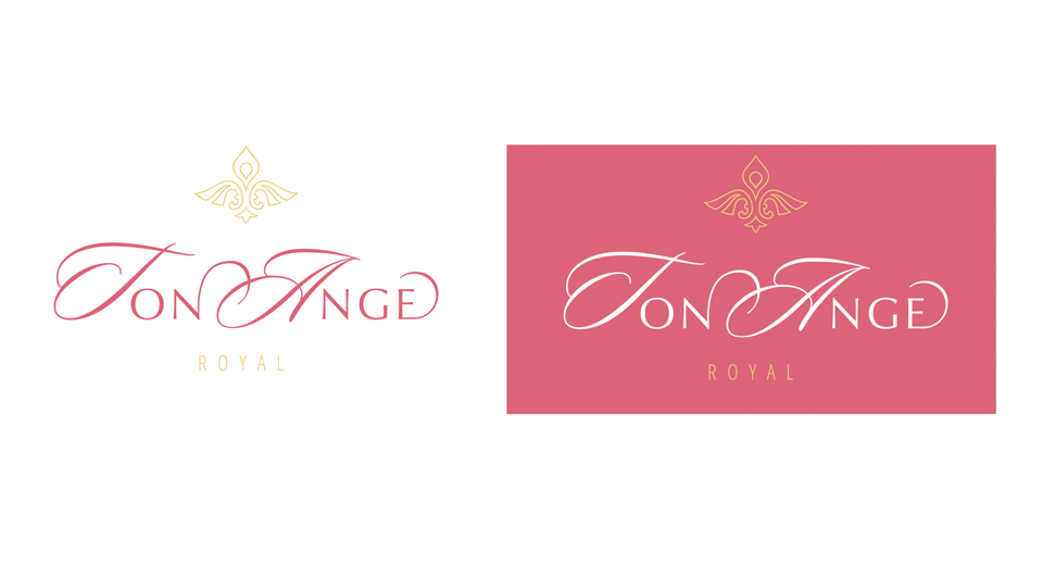 Дизайн логотипа для компании Ton Ange
