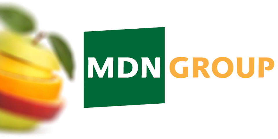 Создание логотипа MDN Group в студии Webakula